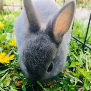 Meet your Posher, Yesenia